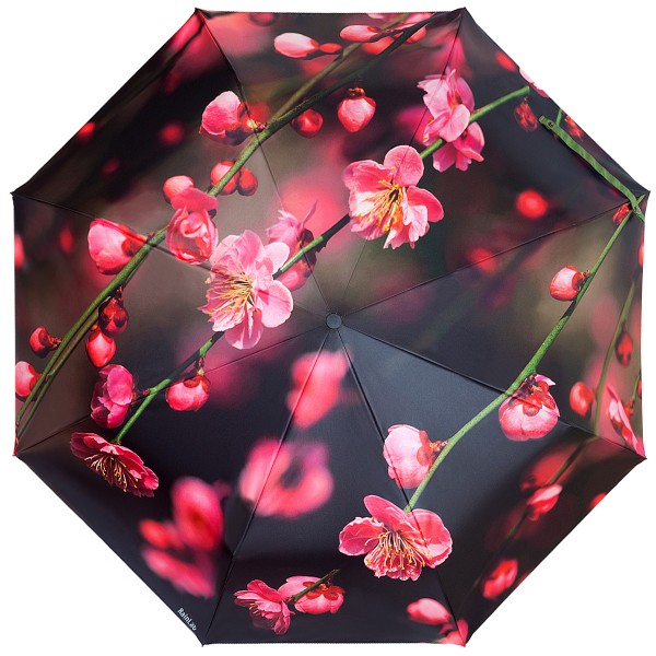 Зонтик с сакурой RainLab 142