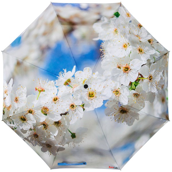 Зонтик с цветущей яблоней RainLab Fl-010 AppleTree