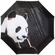 RainLab Ani-085 Panda